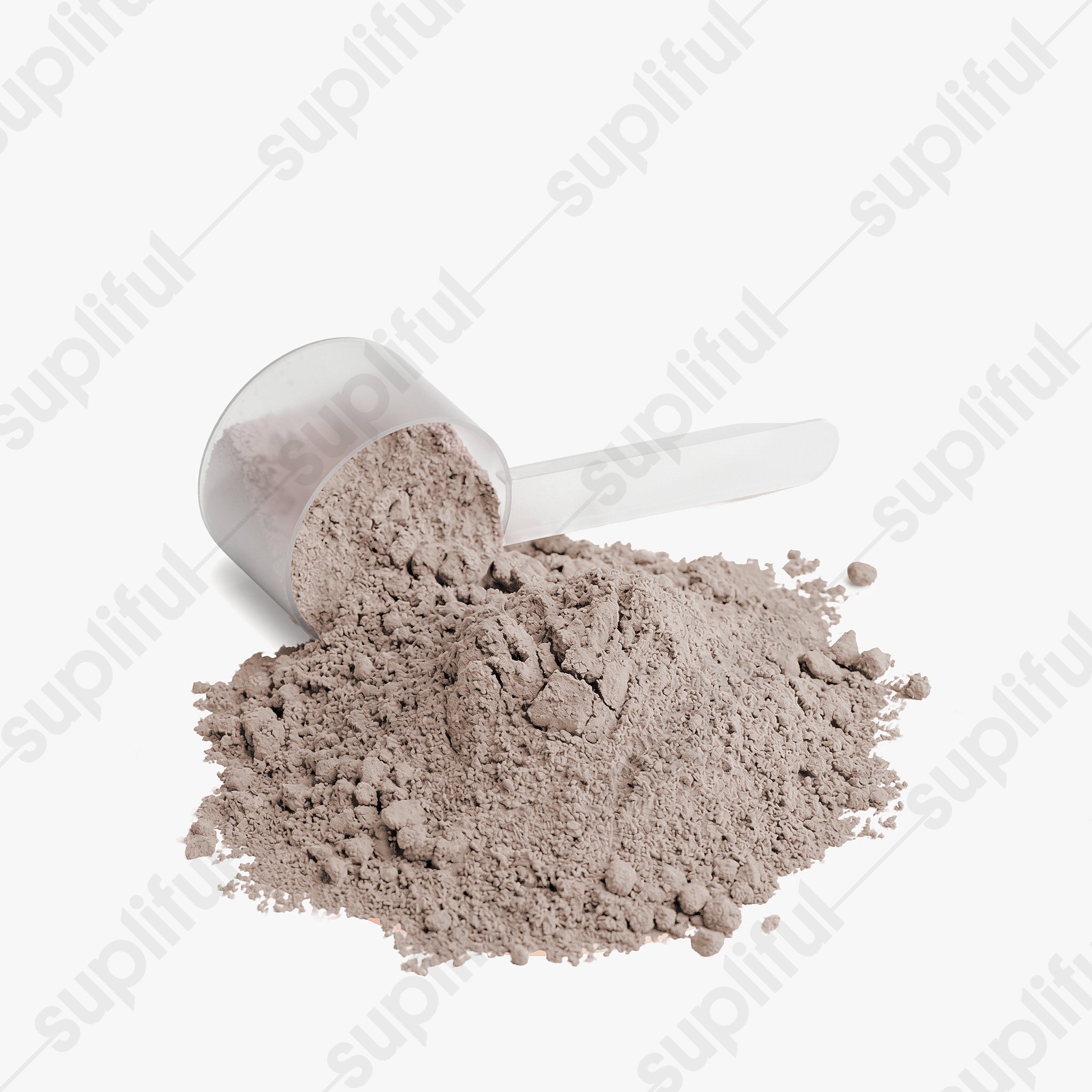 Advanced 100% Whey Protein Isolate (Chocolate)